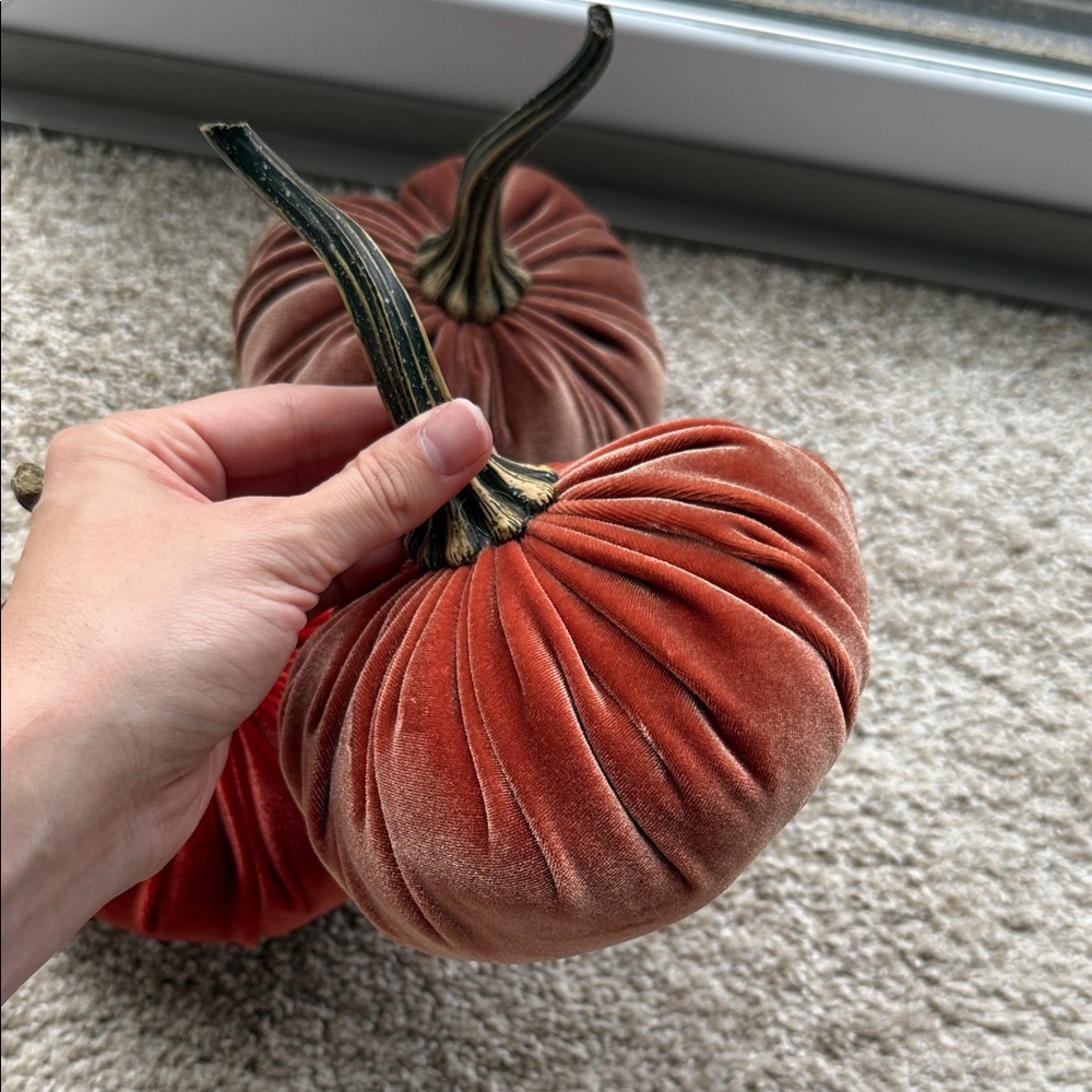 Velvet Pumpkin Decor Set - Picture 5 of 6